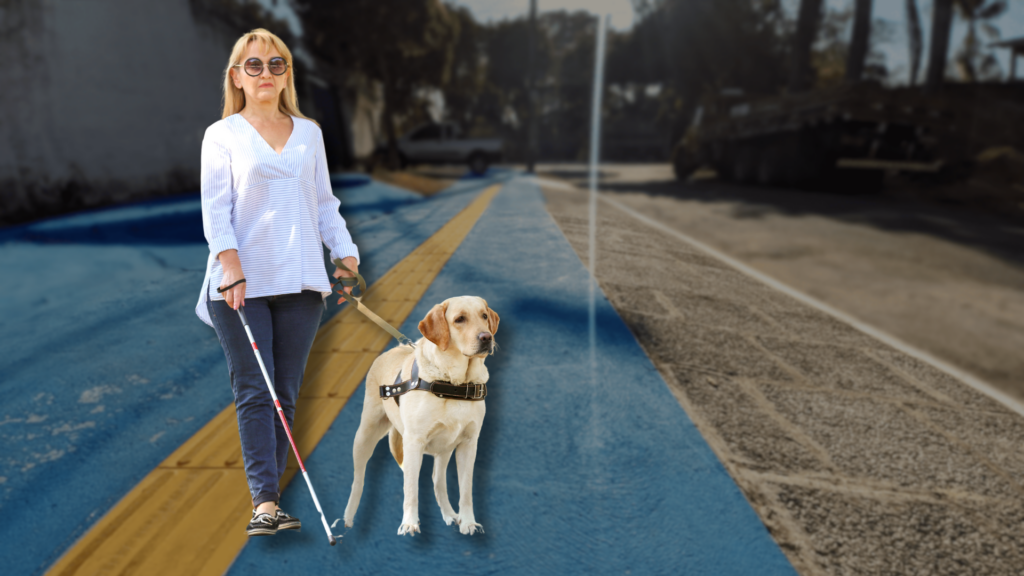 Montagem - Pessoa deficiente visual com cão gui e de fundo calçada com piso tatil